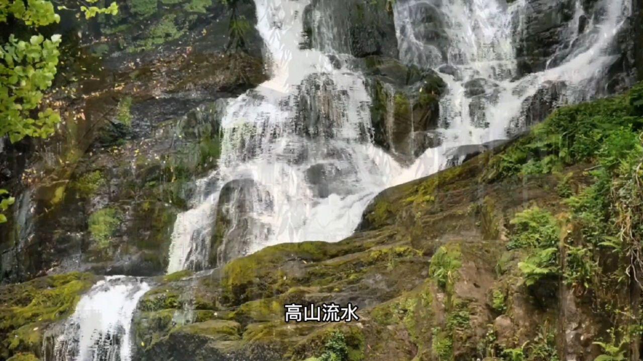 笑死！谁家男主一恋爱就变夹子音啊！陈星旭霸总爆改夹子音啊